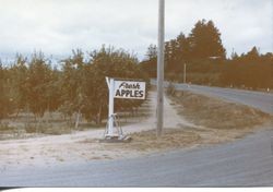 Hallberg Apple Farm roadside stand sign along Gravenstein Highway North (Highway 116), Sebastopol, California, 1979