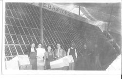 Sebastopol Gravenstein apple exhibit in Watsonville, California October 17, 1910