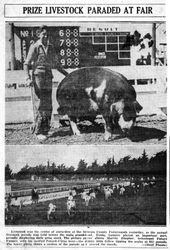 Sonoma County Fair, 1942