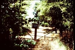 Entrance to Luther Burbank's Gold Ridge Experiment Farm in Sebastopol