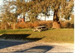 Property around the Hallberg apple farm along Gravenstein Highway North (Highway 116), 1979