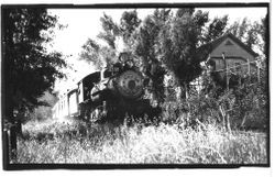 North Western Pacific (NWP) #112 railroad engine and cars beside an unidentified house next to railway