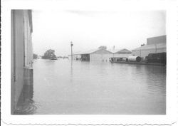 1951 flood in the Laguna de Santa Rosa area of Sebastopol surrounds the Barlow apple processing buildings