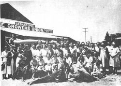 Workers pose before Packinghouse No. 5 of the Sebastopol Apple Growers Union (SAGU), about 1930s