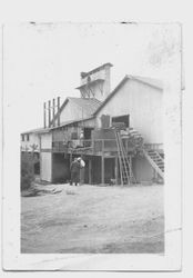 Taniguchi apple dryer near Bloomfield Road, Sebastopol, California, 1930s