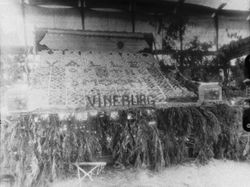 Circa 1930 Gravenstein Apple Show display of Vineburg with an apple box to the right with the "Valley of the Moon" logo