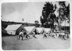 Barlow's Berry Camp on Barlow Ranch in Green Valley (Graton), 1910s