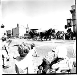 1978 Apple Blossom parade with a horse drawn carriage at the corner of Bodega Ave and Main Street Sebastopol