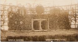 1910 Gravenstein Apple Show display of what appears to be a fort, in whole and dried apples