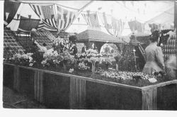 Sebastopol's Gravenstein Apple Show display of apples and flowers under a tent with flags as decoration