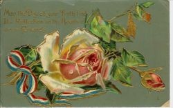 Birthday postcard with pink roses., dated Sept 8, 1910