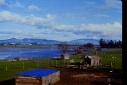 Late winter flooding of the Laguna de Santa Rosa on the east side of Sebastopol, California, 1970s