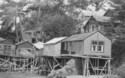 Cottages at Bodega Bay, California built at beach level