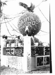 Sebastopol's Gravenstein Apple Show display of a globe with eagle on top and "Santa Rosa" spelled out in apples