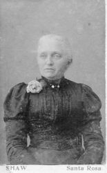 Harriet Adeline Sebring Allen