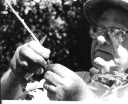 Chuck Sharp grafting a plum tree at the Burbank Gold Ridge Experiment Farm in Sebastopol, 1996