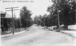 Bodega Avenue, Sebastopol, about early 1900s