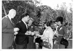 Don Hallberg, of O. A. Hallberg & Sons apple products, in Hallberg orchard showing apples to representatives of the Nut Tree and University of California, Davis, 1960s