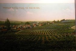 Town of Sebastopol, 1915s as seen from the western hills