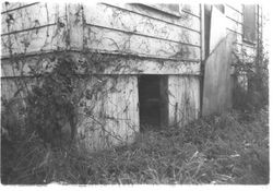 Luther Burbank cottage in 1978 before renovations began