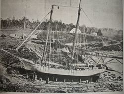 Shipyard along the Mendocino Coast with a ship in drydock and logs in the water, about early 1900s