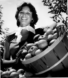 1977 Apple Blossom princess/queen Juli Pimentel with a bushel of apples