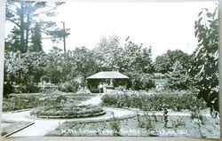 Luther Burbank Gardens Santa Rosa