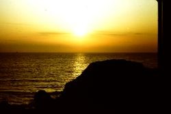 Sunset on the Pacific Ocean from Coleman Point overlooking Coleman Beach at Bodega Bay, April 1983