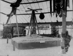 Gravenstein Apple Show display of Cunningham Farm Center