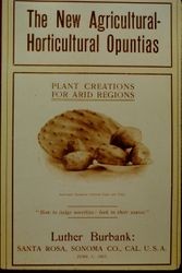 Cover of Burbank catalog--"The New Agricultural--Horticultural Opuntias Plant Creations for Arid Regions"; Improved Spineless Opuntia Leaf and Fruit, June 1, 1907