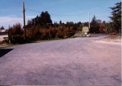 Hallberg apple farm fruit stand located at 2500 Gravenstein Highway North (Highway 116) , Sebastopol, California, 1979