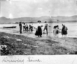 Seining (net) fishing, possibly at Bodega Bay area