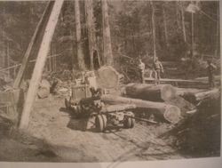 A-frame used to load cut logs on a truck, Mendocino County