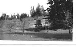 Lower apple orchard and new 1500 gallon water tank on the Taylor property on Taylor Lane west of Sebastopol on March 22, 1942