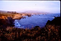 Dog hole along Bodega Bay, 1991