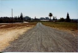 Gravel road that leads away from Don and Marcia Hallberg's fruit stand on Gravenstein Highway North, Sebastopol, California, 1975