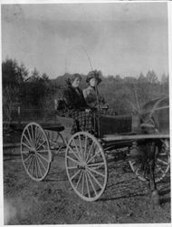 Jessie Woodbury and a friend in a one-horse buggy, 1890s