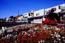 Businesses on 6900 block of Sebastopol Avenue, Sebastopol, California