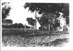 Twin Pines Ranch in Sebastopol, about 1914