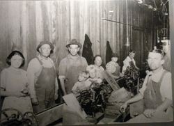 Most of the crew of the Graton Union Dryer, August 1st, 1923