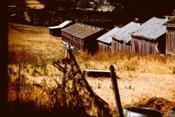 Old barns in Petaluma, California, 1978