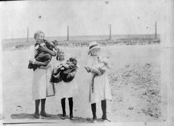 Three unidentified girls, two holding dogs and one holding a cat, about 1915