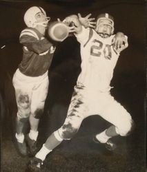 Analy High School Tigers Football, 1953--Analy Tiger Dennis Crowe #20 breaking up a pass intended for Petaluma Gary Skilling #30