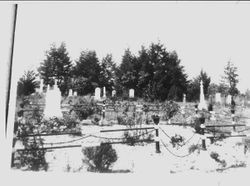 Godfrey Taylor plot in the Sebastopol's Memorial Lawn Cemetery on Bodega Avenue