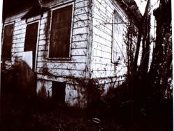 Luther Burbank's Gold Ridge Experiment farm cottage before restoration, 1970