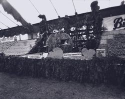 Gravenstein Apple Show display by Forestville with large pumpkin made of Gravenstein apples and G.S. Mascagni Company of Sebastopol display of "Fancy Big Hit Brand" Gravenstein apples, 1930s