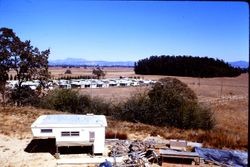 Unidentified house in the Sebastopol area, 1970