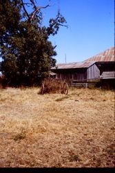 Unidentified barn in western Sonoma County, 1980
