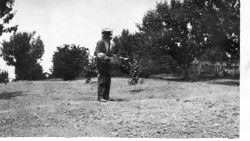 Oscar A. Hallberg with bee smoker, about 1925