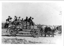 Horse drawn wagon loaded with boxes of Sebastopol Berry Growers berries and berry pickers